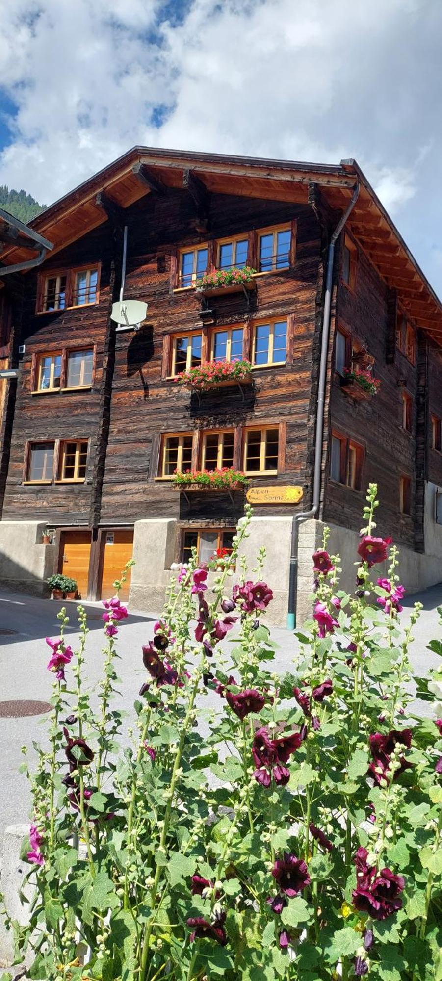 Alpensonne Apartment Reckingen Exterior photo